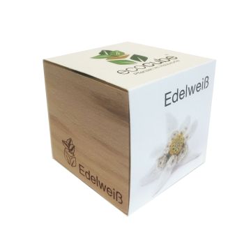 edelweiss holzwürfel