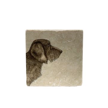 RAUHHAAR DACKEL Keramik Fliese 