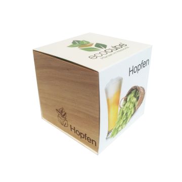 hopfen holzwürfel
