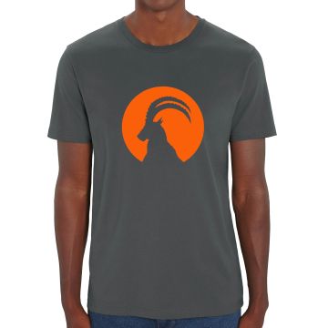 herren t-shirt kurzarm grau mit druck steinbock im mond